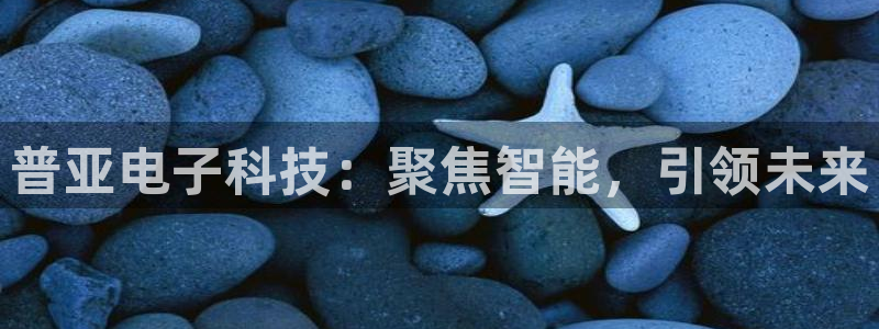 普亚电子科技：聚焦智能，引领未来