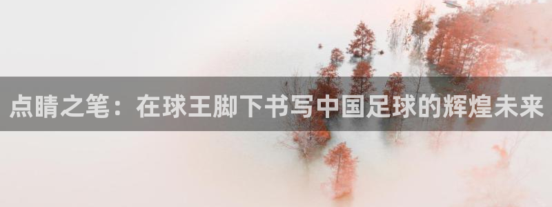 点睛之笔：在球王脚下书写中国足球的辉煌未来