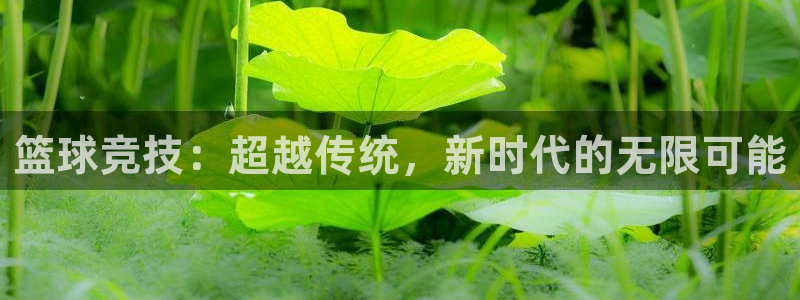 篮球竞技：超越传统，新时代的无限可能