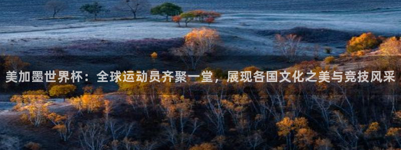 美加墨世界杯：全球运动员齐聚一堂，展现各国文化之美与竞技风采