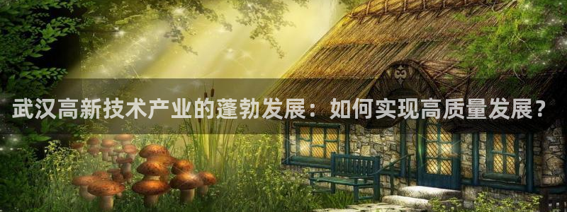 武汉高新技术产业的蓬勃发展：如何实现高质量发展？