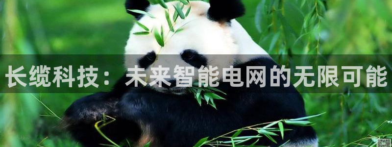 长缆科技：未来智能电网的无限可能
