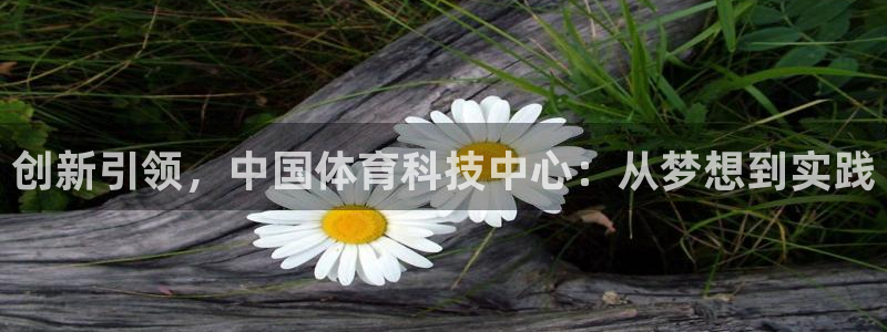创新引领，中国体育科技中心：从梦想到实践