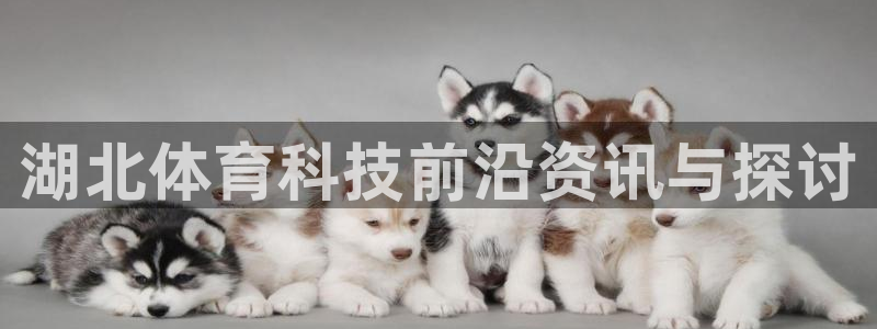 湖北体育科技前沿资讯与探讨
