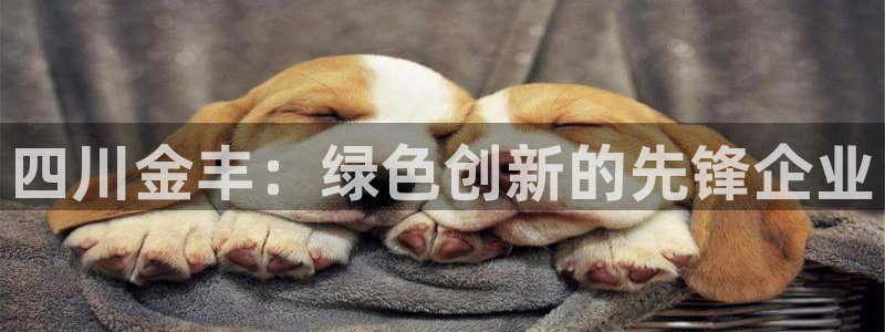 四川金丰：绿色创新的先锋企业